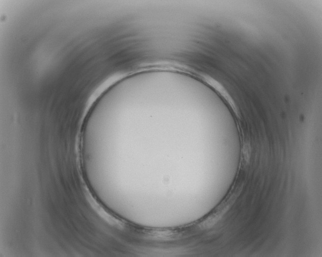 X0000083011482200702231759