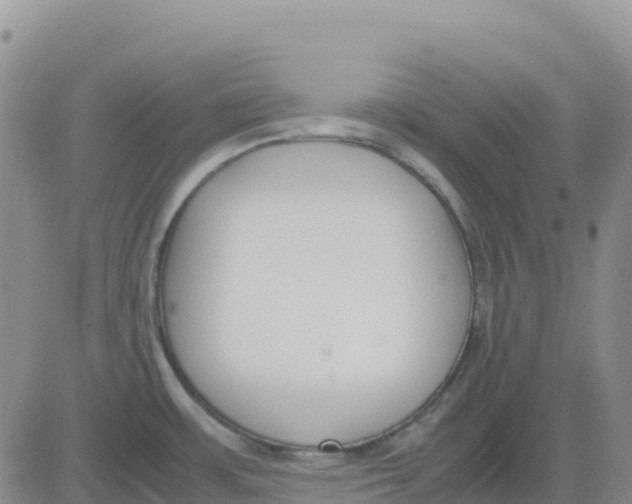 X0000083011483200702231759