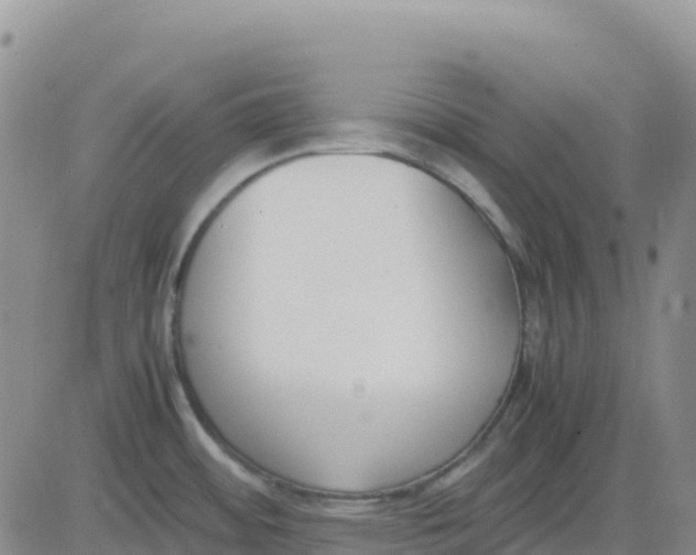 X0000083011484200702231759