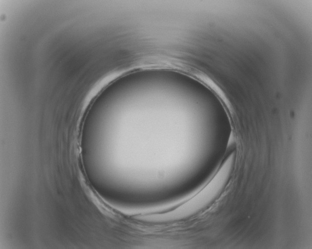 X0000083011485200702231759