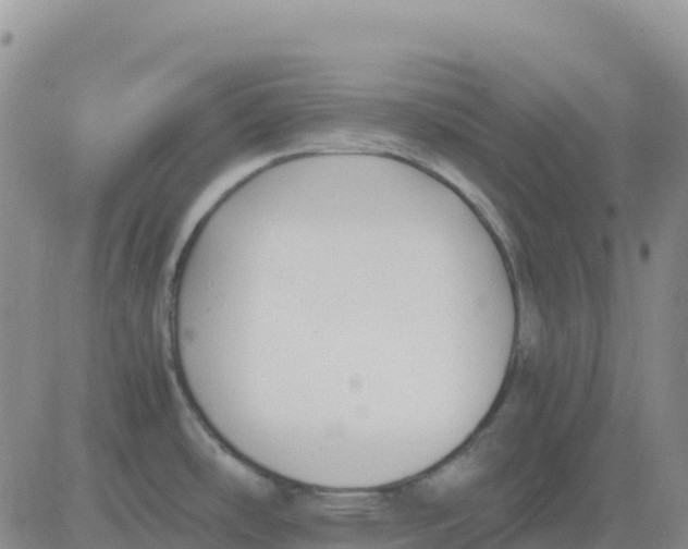 X0000083011486200702231759