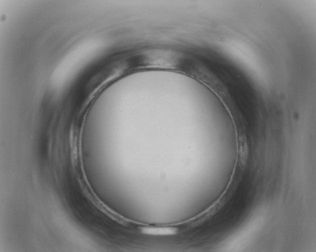 X0000083011487200702231759