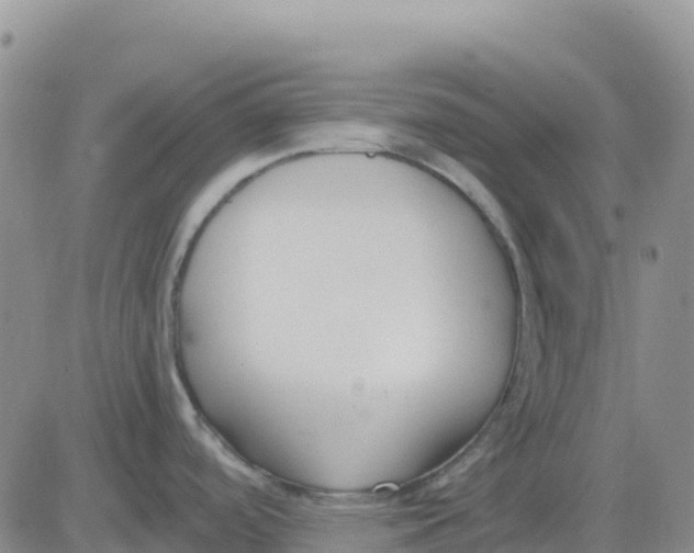 X0000083011488200702231759