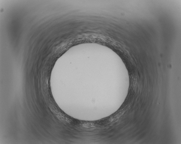 X0000083011489200702231758