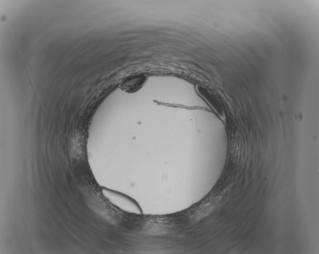 X0000083011490200702231758