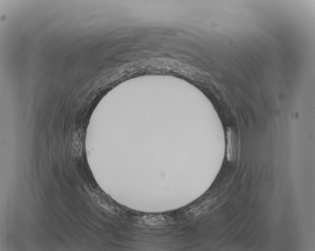 X0000083011491200702231758