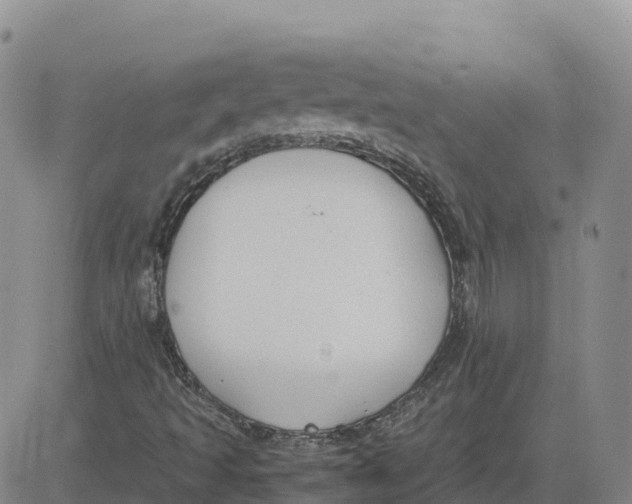 X0000083011493200702231758