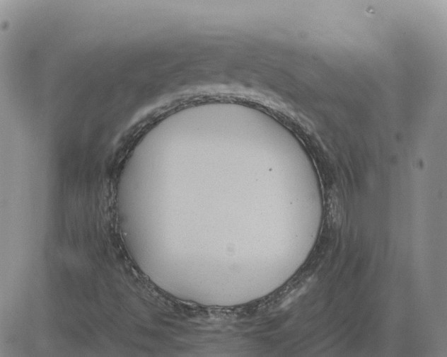 X0000083011494200702231758