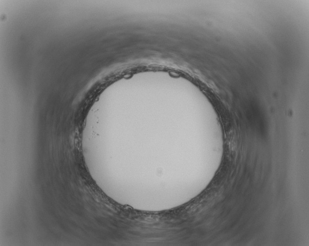 X0000083011495200702231758