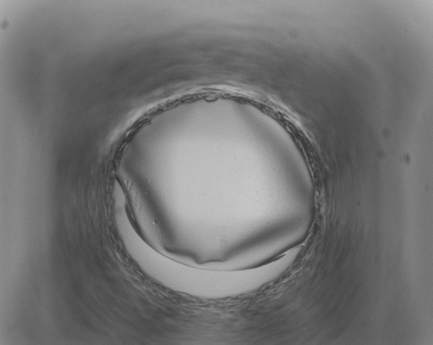 X0000083011496200702231758