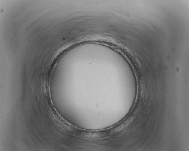 X0000083011497200702231758