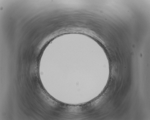 X0000083011498200702231758