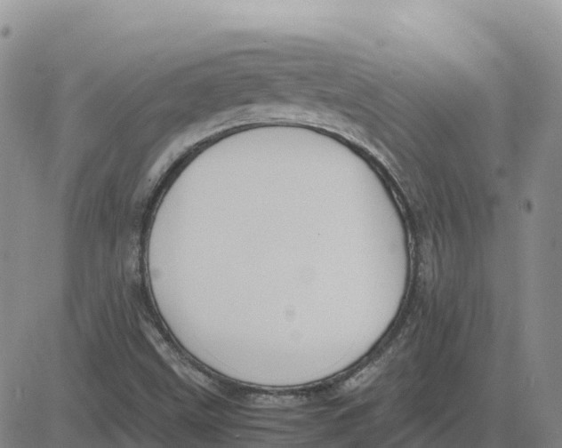 X0000083011499200702231758