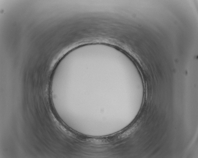 X0000083011500200702231758