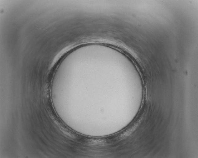 X0000083011501200702231758