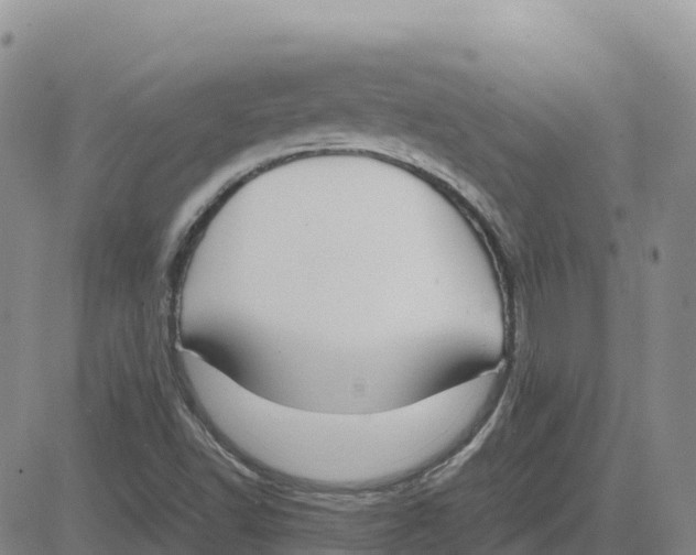 X0000083011502200702231758