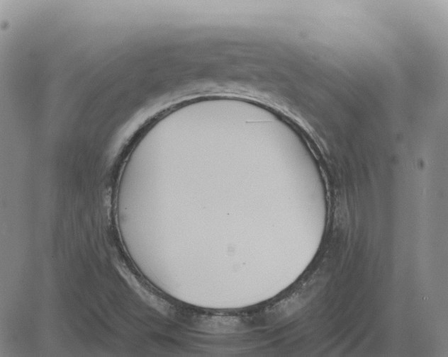 X0000083011503200702231758