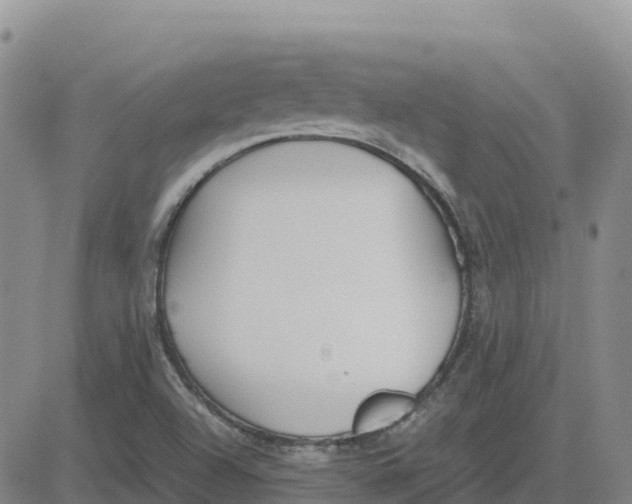 X0000083011504200702231758