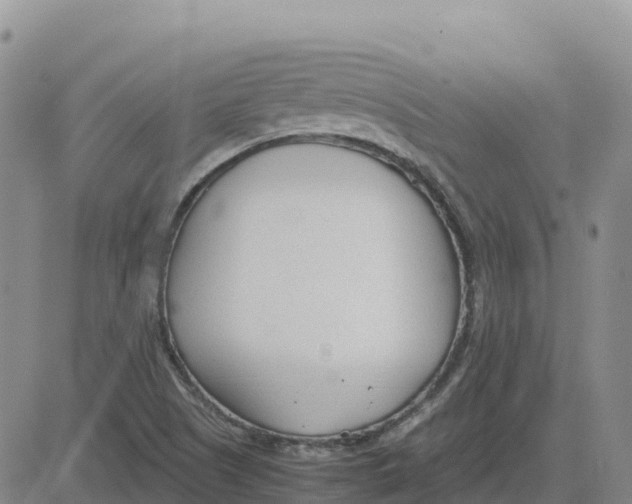 X0000083011505200702231758