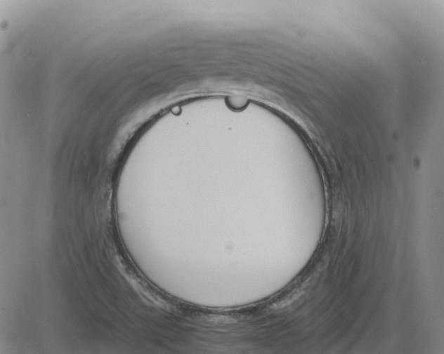 X0000083011507200702231758