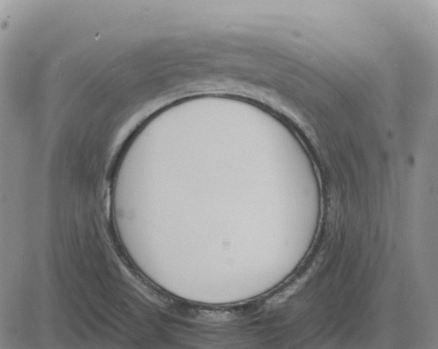 X0000083011509200702231759