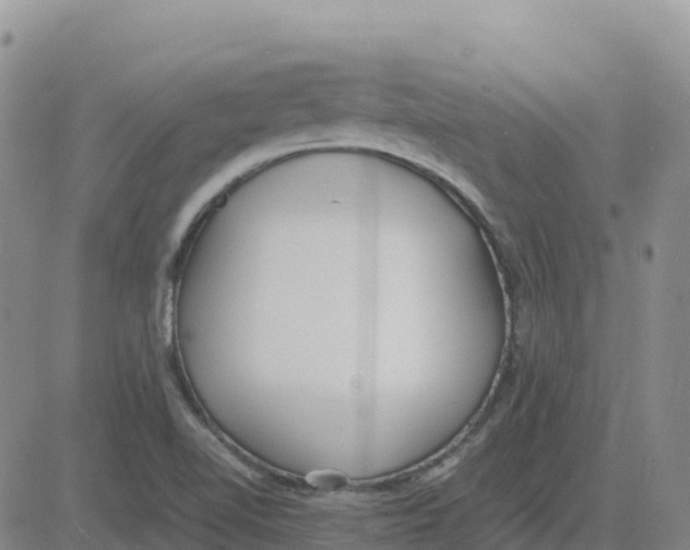 X0000083011510200702231759