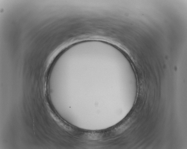 X0000083011511200702231759