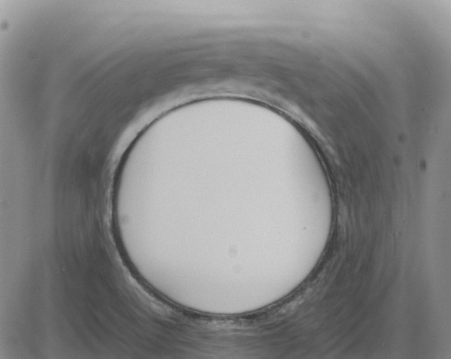 X0000083011512200702231759