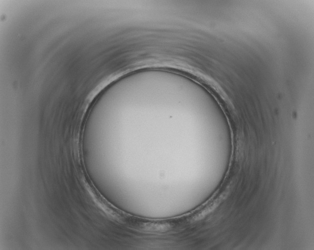 X0000083011513200702231759