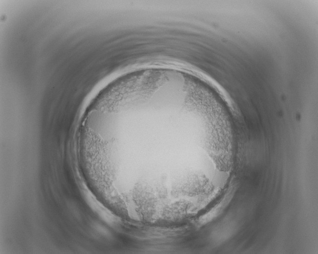 X0000083011514200702231759