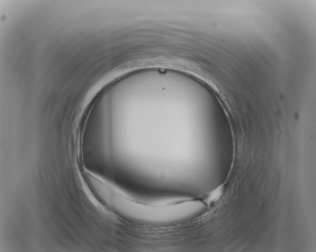 X0000083011515200702231759