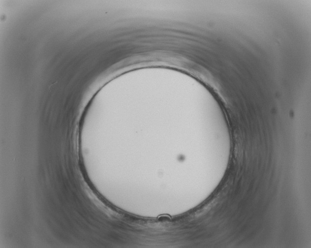 X0000083011516200702231759