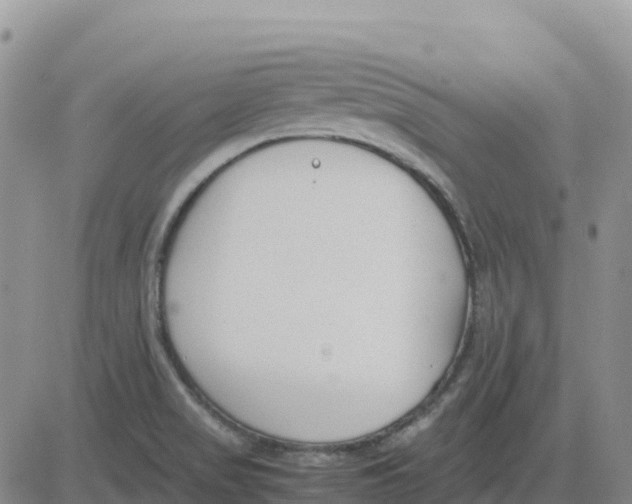 X0000083011517200702231759