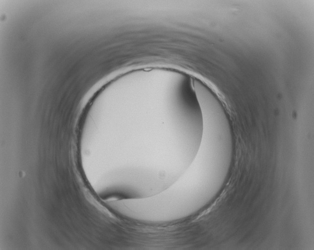 X0000083011518200702231759