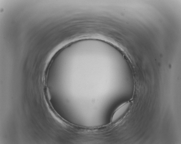 X0000083011519200702231759