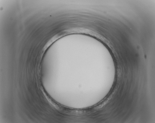 X0000083011521200702231759