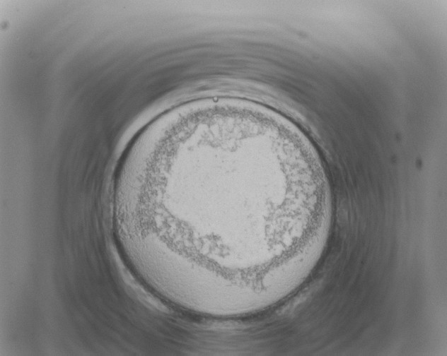 X0000083011522200702231759