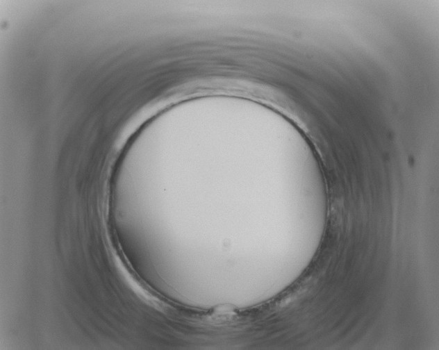 X0000083011523200702231759