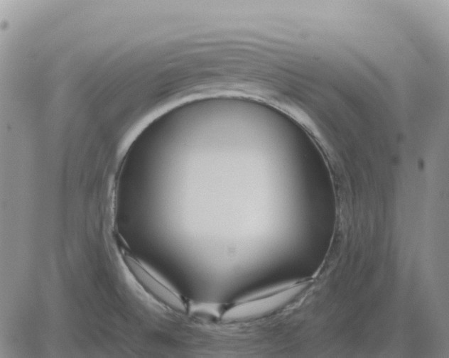 X0000083011524200702231759