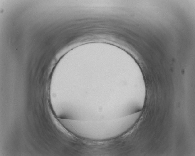 X0000083011526200702231759