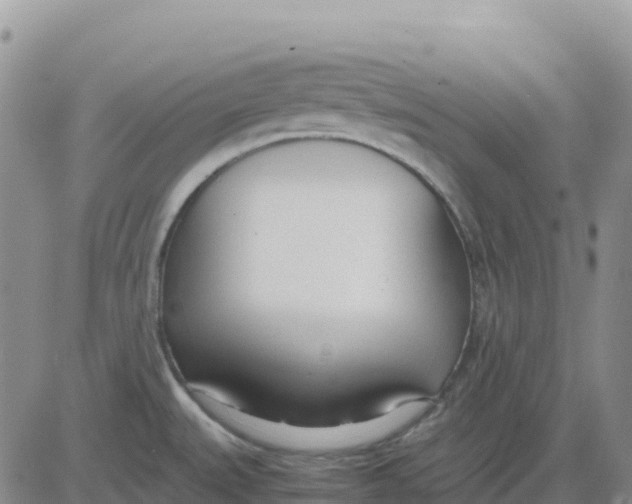 X0000083011527200702231759