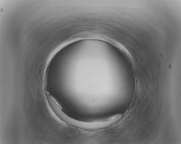 X0000083011528200702231759