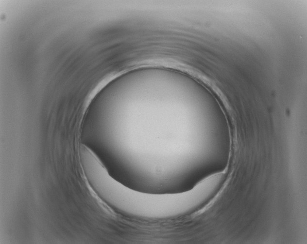 X0000083011529200702231759