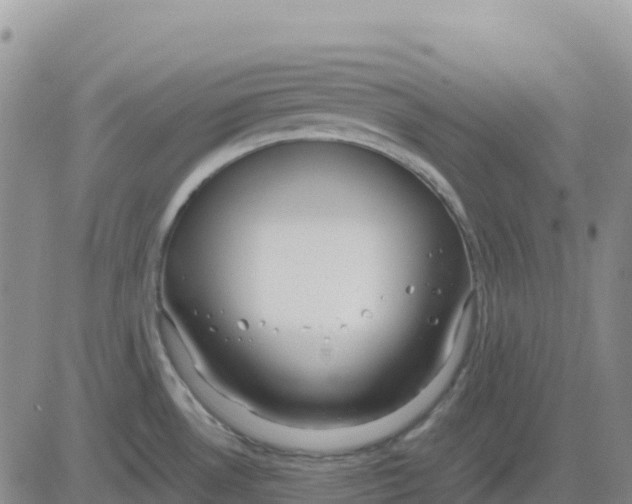 X0000083011530200702231759