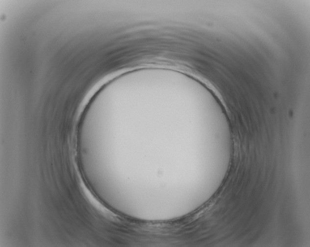 X0000083011531200702231759