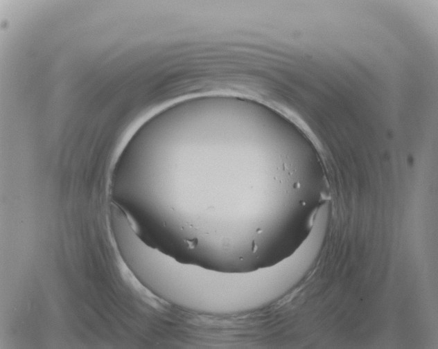 X0000083011532200702231759