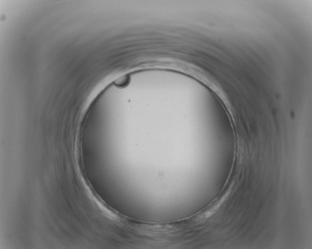 X0000083011533200702231759