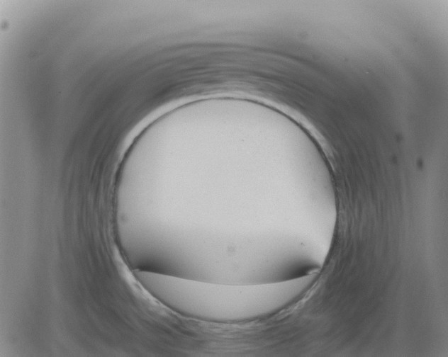 X0000083011534200702231759