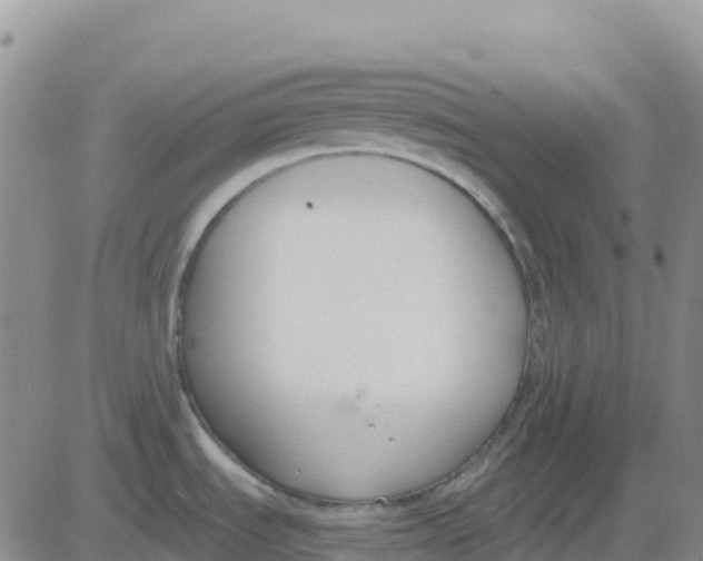 X0000083011535200702231759