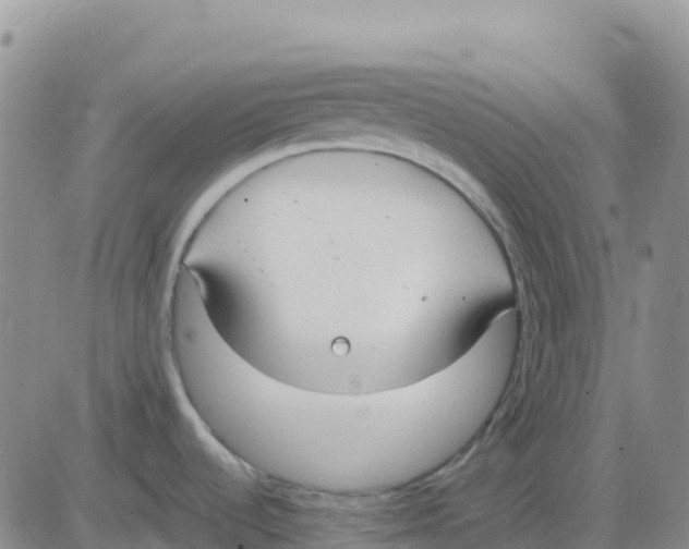 X0000083011536200702231759